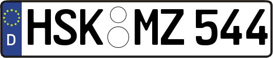 HSK-MZ544