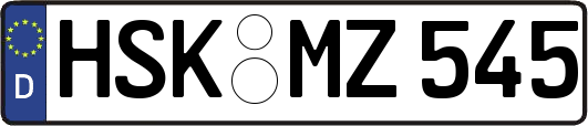 HSK-MZ545