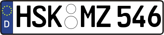 HSK-MZ546