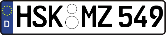 HSK-MZ549
