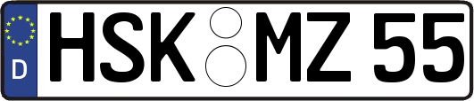 HSK-MZ55