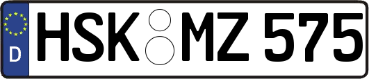 HSK-MZ575