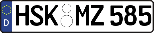 HSK-MZ585