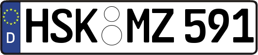 HSK-MZ591