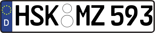 HSK-MZ593