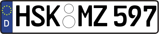 HSK-MZ597