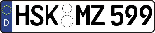 HSK-MZ599
