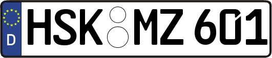 HSK-MZ601