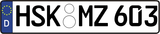 HSK-MZ603