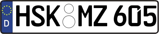 HSK-MZ605