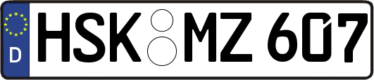 HSK-MZ607