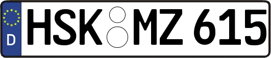HSK-MZ615