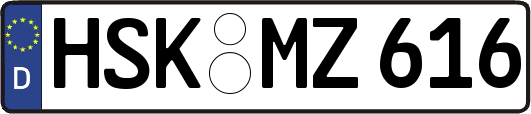 HSK-MZ616