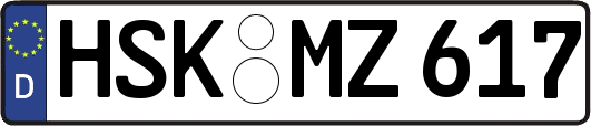 HSK-MZ617