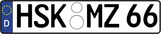 HSK-MZ66