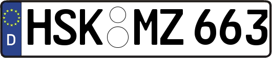 HSK-MZ663
