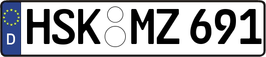 HSK-MZ691