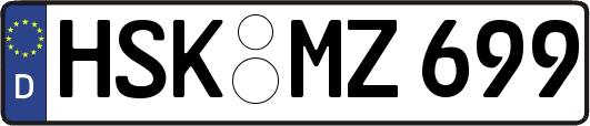 HSK-MZ699