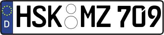 HSK-MZ709