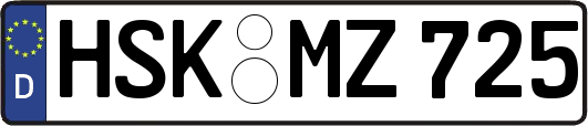 HSK-MZ725