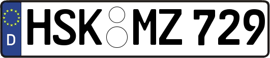 HSK-MZ729