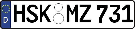 HSK-MZ731