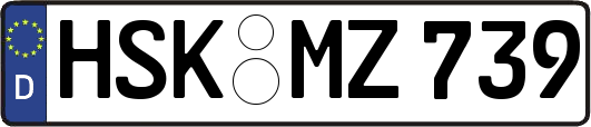 HSK-MZ739
