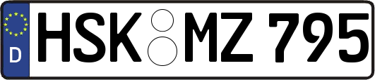 HSK-MZ795