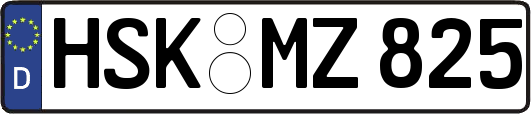 HSK-MZ825
