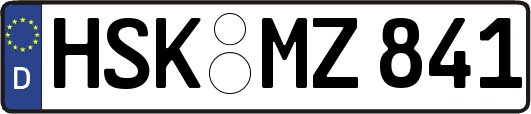 HSK-MZ841