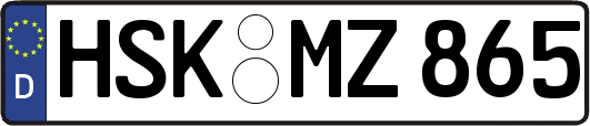 HSK-MZ865