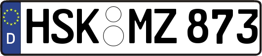 HSK-MZ873