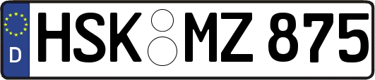 HSK-MZ875