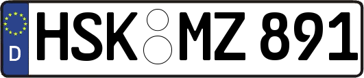 HSK-MZ891