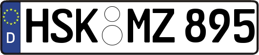 HSK-MZ895