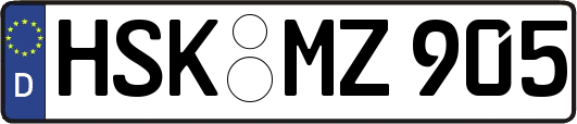 HSK-MZ905
