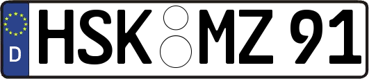 HSK-MZ91