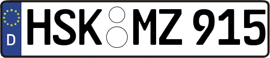 HSK-MZ915