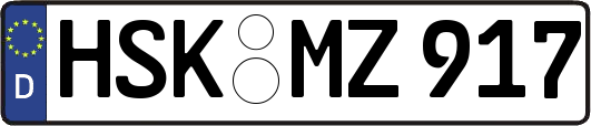 HSK-MZ917