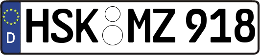 HSK-MZ918