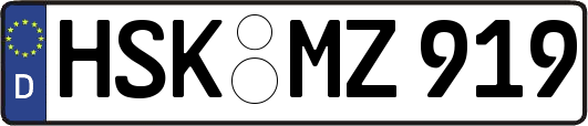 HSK-MZ919