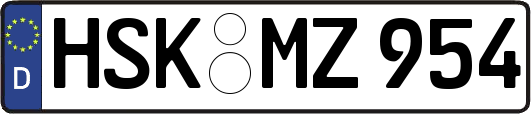 HSK-MZ954