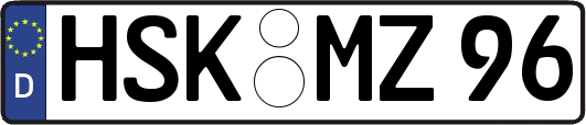HSK-MZ96