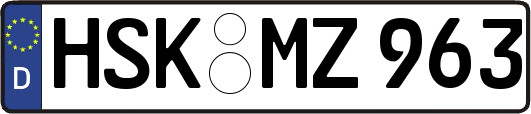 HSK-MZ963