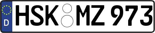 HSK-MZ973