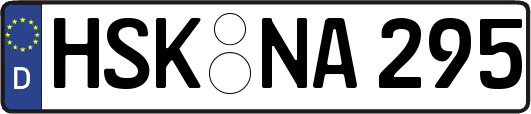 HSK-NA295