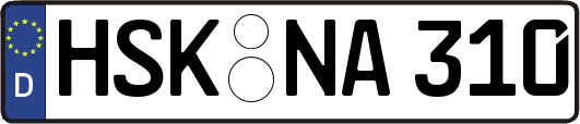 HSK-NA310