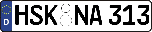 HSK-NA313