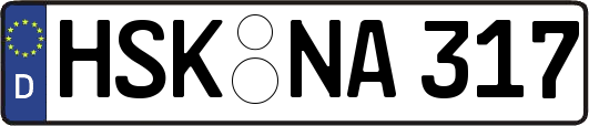 HSK-NA317