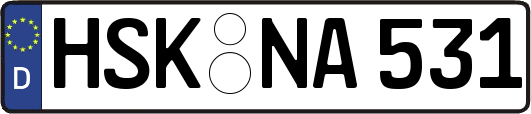 HSK-NA531